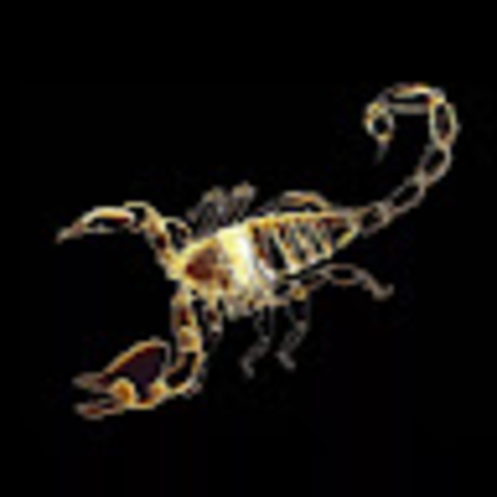 Meet your Posher, Zion